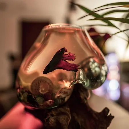 Relaxcentrum Ludmila