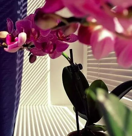 Relaxcentrum Ludmila