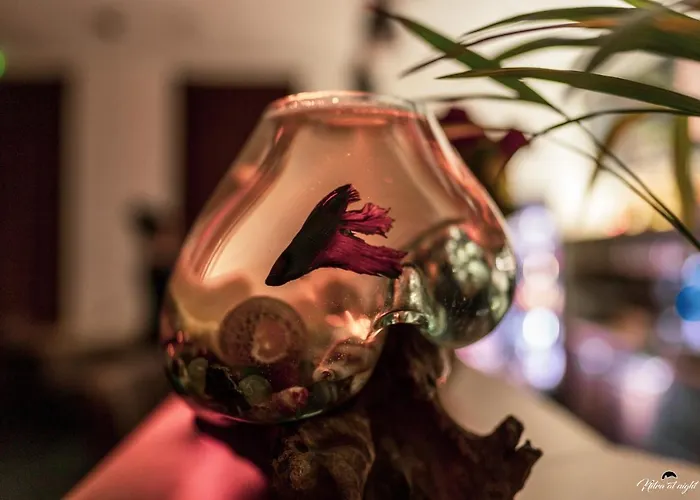 Relaxcentrum Ludmila