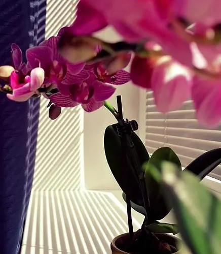 Relaxcentrum Ludmila