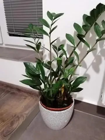 Relaxcentrum Ludmila 아파트